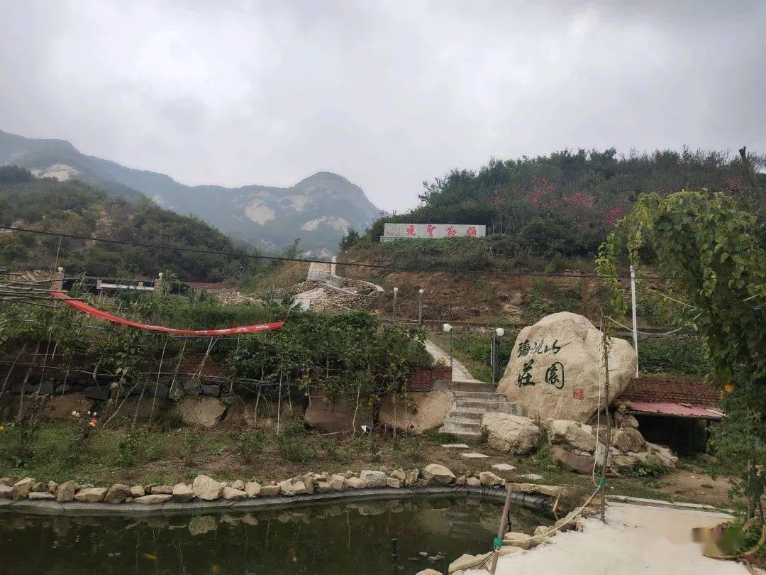 特种突击聪明的顺溜