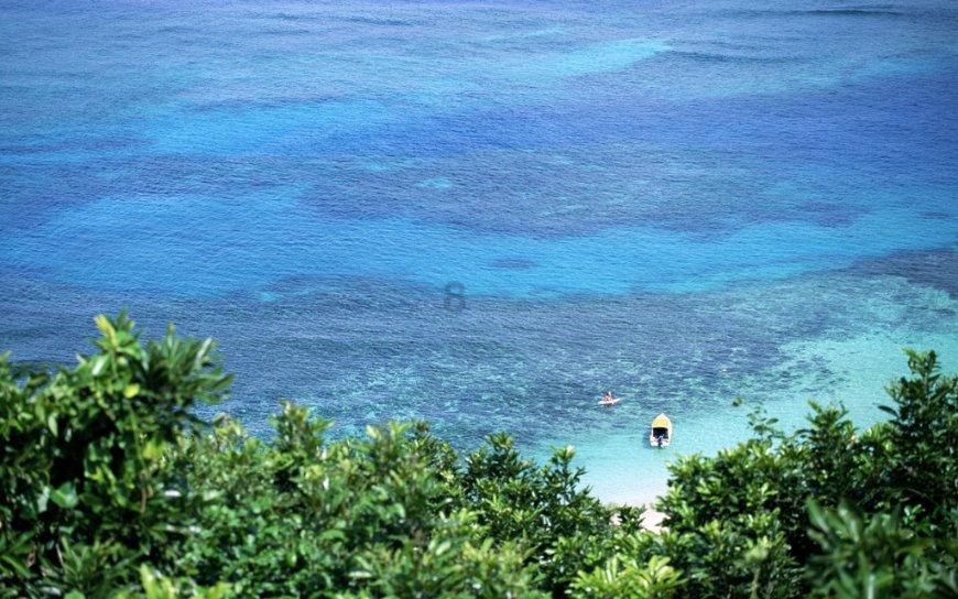 柴油引擎测试造假,丰田暂停10款车出货