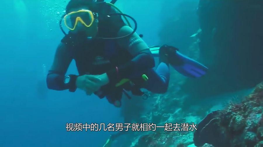 逃出绿色公寓